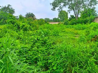 IMG_20250726_132501_925