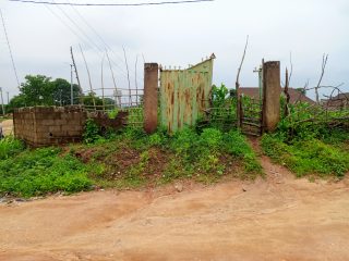 IMG_20250726_133205_667